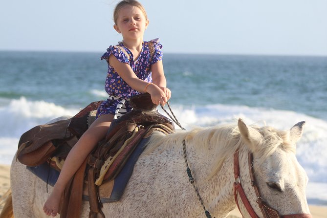 Cabo White Sand Horseback Riding Tour and Tequila Tasting - From Baja cactus trails to the Pacific beach