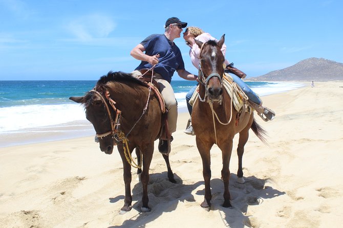 Cabo White Sand Horseback Riding Tour and Tequila Tasting - The horses and guides make the difference