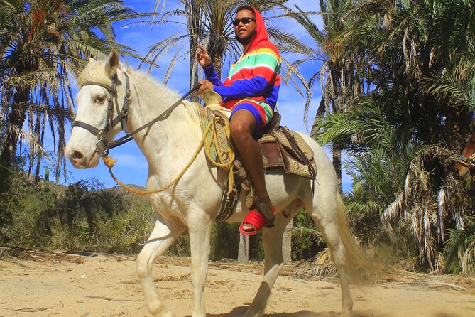Cabo White Sand Horseback Riding Tour and Tequila Tasting - The tequila tasting is a bonus, not the main event