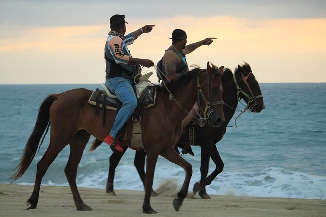 Cabo White Sand Horseback Riding Tour and Tequila Tasting - The $85 price needs a closer look