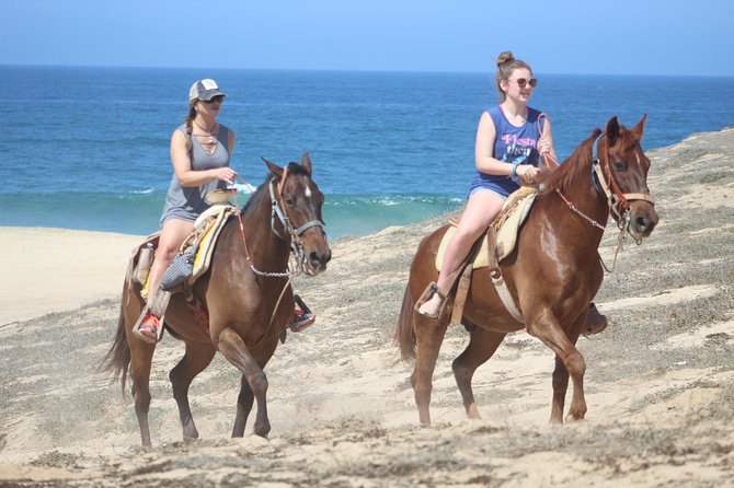 Cabo White Sand Horseback Riding Tour and Tequila Tasting - The group size can change the feel of the ride