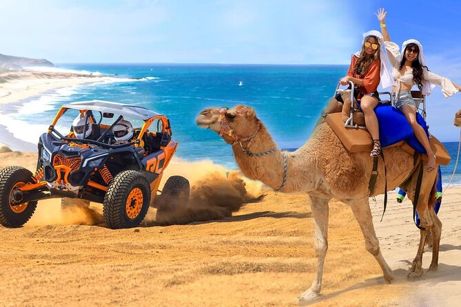 Camel Ride and UTV Combo Adventure, with Tequila Tasting - Key points to know before booking