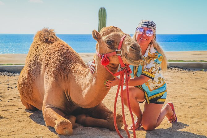 Camel Ride and UTV Combo Adventure, with Tequila Tasting - Transportation takes planning, especially from a cruise ship