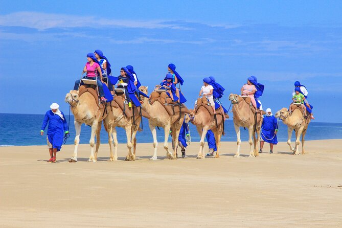 Camel Ride and UTV Combo Adventure, with Tequila Tasting - Who will enjoy this Cabo excursion