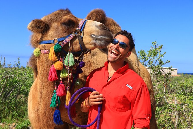 Camel Ride and UTV Combo Adventure, with Tequila Tasting - Should you book the camel and UTV combo?