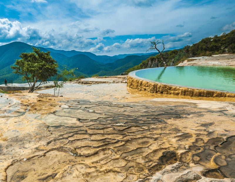Caminos del Condoy: Boiling water, Mitla. Mezcal - Starting with the giant tule tree