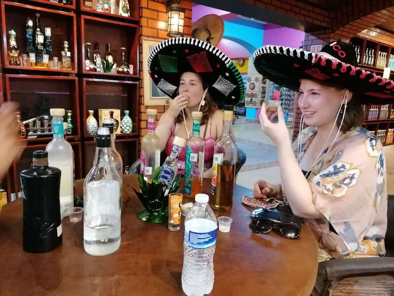 Cancun Taco Tour: Street Food & Tequila Tasting in Downtown - Meeting at Parque de las Palapas at 5:30 PM