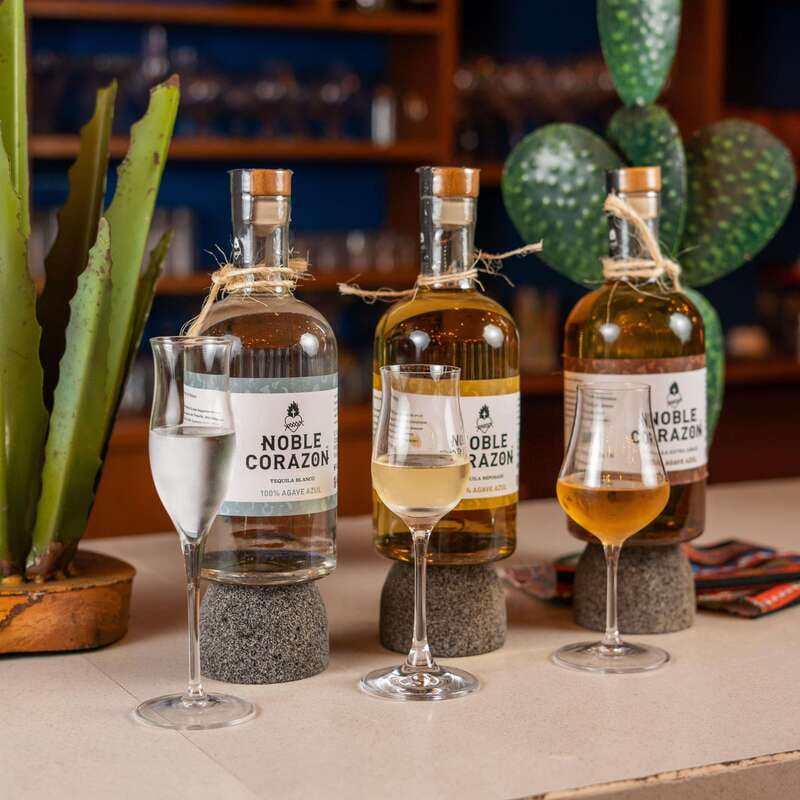 Cancun: Tequila Tasting Experience with Pairing - Is $108 per person a fair price?