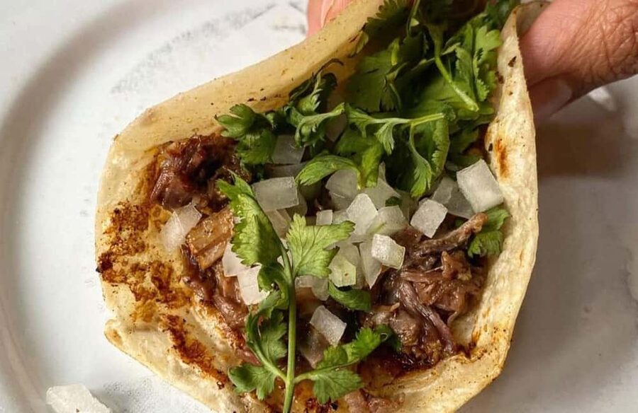 CDMX: Tacos and mezcal night tour - The guides make the difference