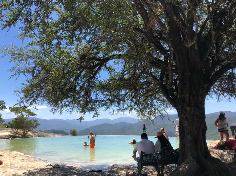 Check out Hierve el Agua, Mitla, the Tule Tree, Rugs, and a Mezcal Distillery Tour - Key points to know before booking