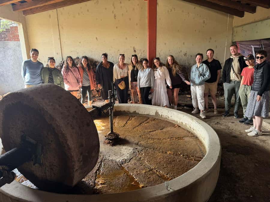 Check out Hierve el Agua, Mitla, the Tule Tree, Rugs, and a Mezcal Distillery Tour - Guides, transport, and group size