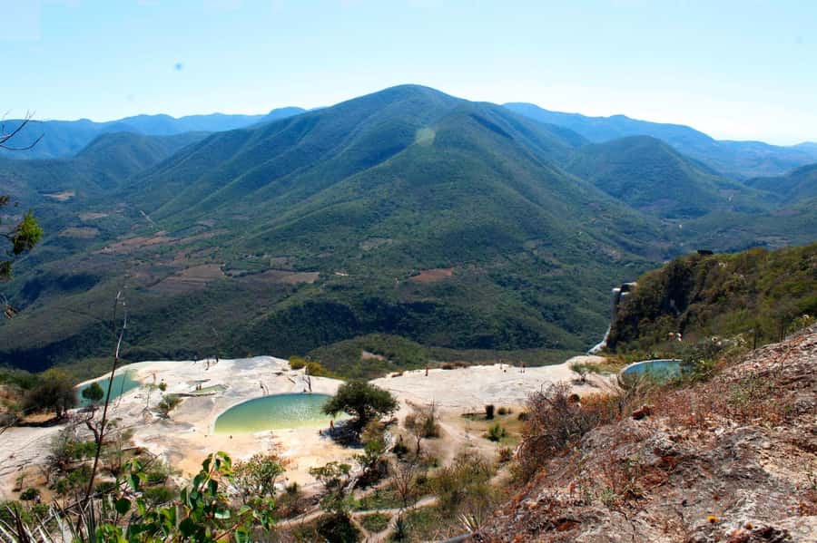 Check out Hierve el Agua, Mitla, the Tule Tree, Rugs, and a Mezcal Distillery Tour - What the $49 price really buys you