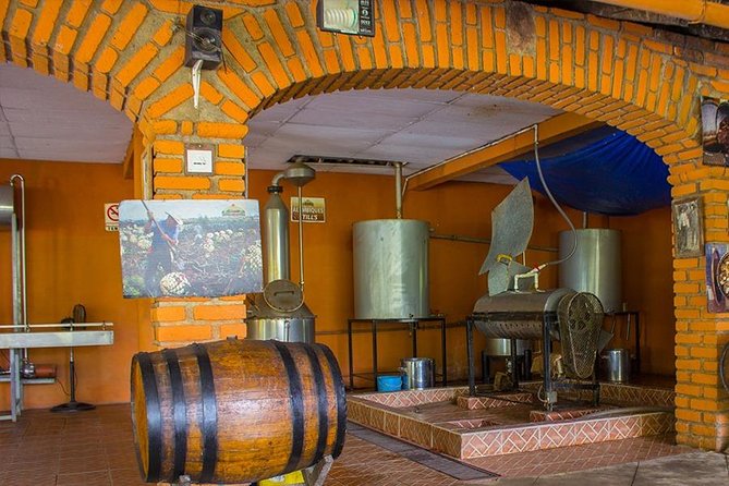 City and Tequila Tour in Puerto Vallarta - Guides can shape the whole experience