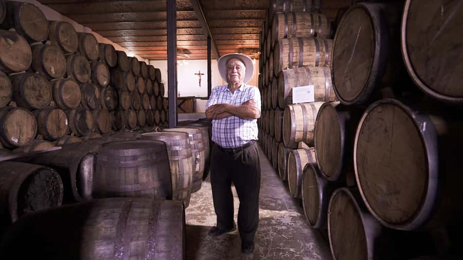 Classic Tequila Route Tour from Guadalajara and cantaritos el GÜERO!!! - The day in six useful points