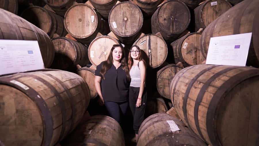 Classic Tequila Route Tour from Guadalajara and cantaritos el GÜERO!!! - A walk through Tequila town