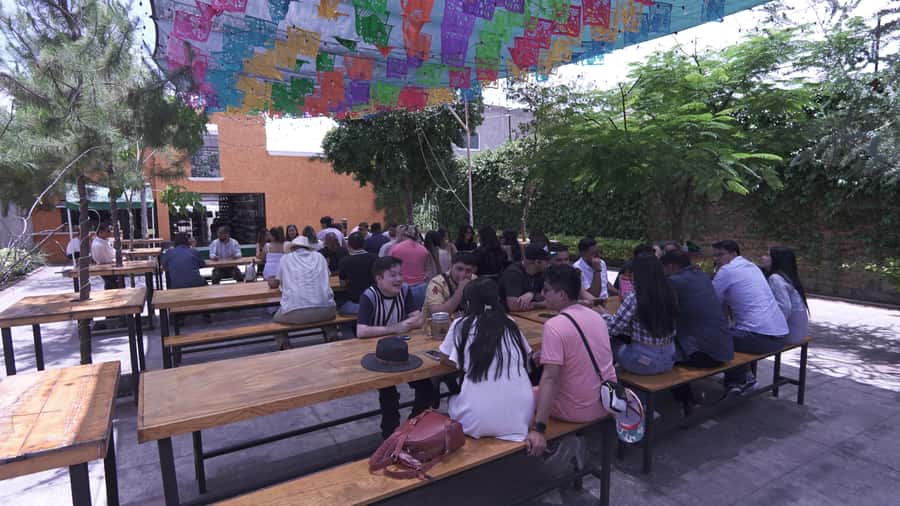 Classic Tequila Route Tour from Guadalajara and cantaritos el GÜERO!!! - Ending at Cantaritos El Güero