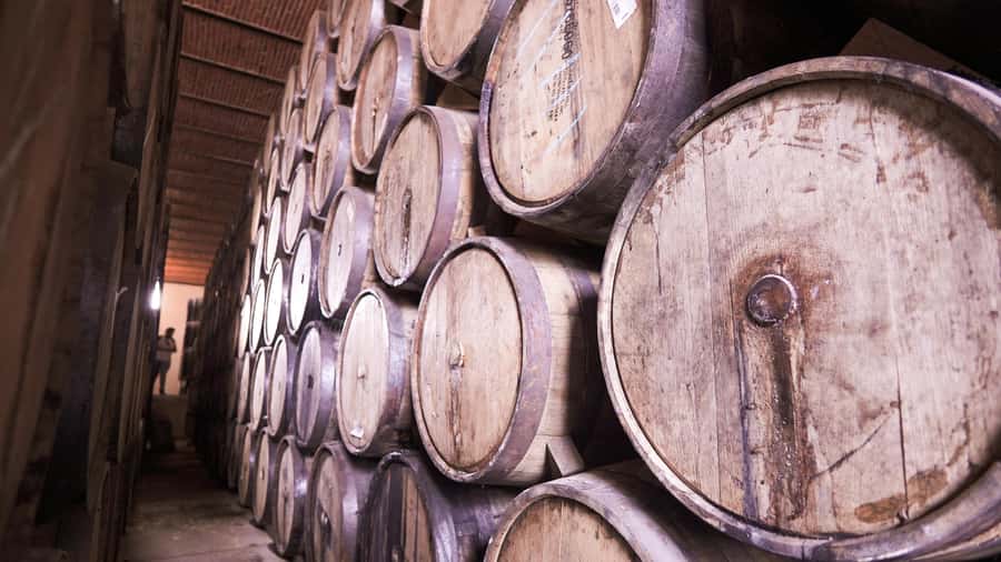 Classic Tequila Route Tour from Guadalajara and cantaritos el GÜERO!!! - What $41 buys you