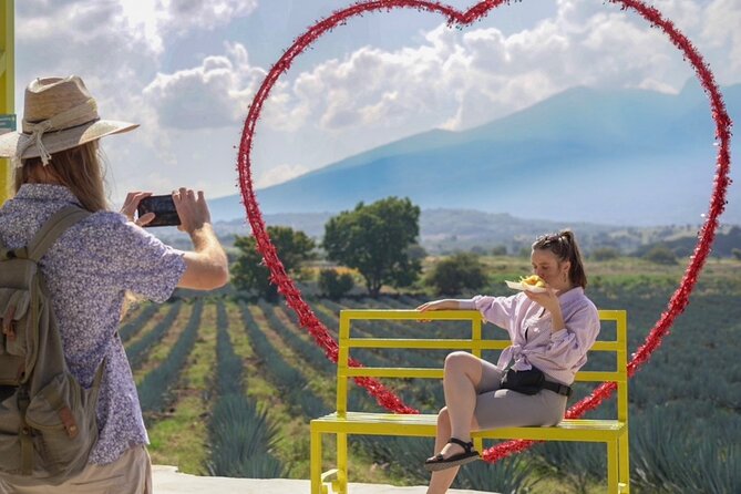 Classic Tequila Tour and CANTARITOS EL GÜERO - Why this Guadalajara day trip works