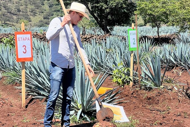 Classic Tequila Tour and CANTARITOS EL GÜERO - Don Cayo and the tequila-making process