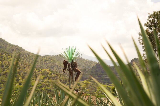 Classic Tequila Tour and CANTARITOS EL GÜERO - Amatitán’s agave fields and open views