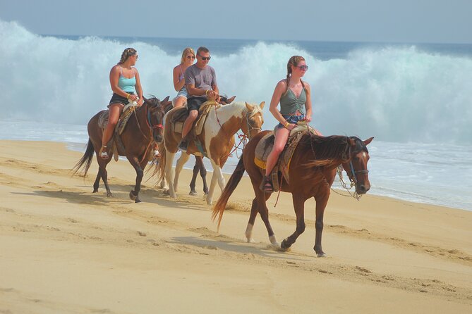 Combined ATV and Horseback Ride/Tequila Tasting - What the $179.33 price really covers
