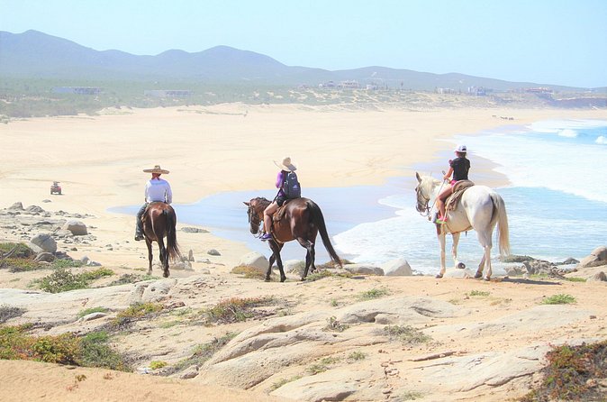Combo Adventure with RZR and ATV or HBR and Tequila Tasting - Safety, equipment, and comfort
