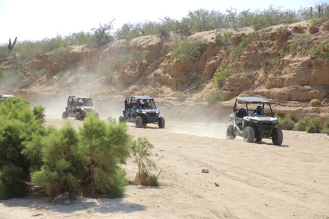 Combo Single Offroad 4x4 UTV, Camel Ride, Lunch & Tequila Tasting - Key points before you book