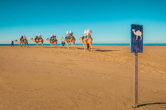 Combo Single Offroad 4x4 UTV, Camel Ride, Lunch & Tequila Tasting - Trading horsepower for a camel on the beach