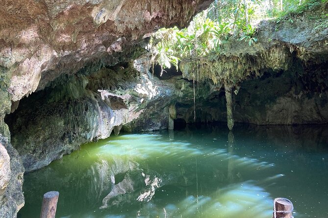 Cozumel ATVs, El Cedral Ruins, Cenote Jade, and Tequila - Timing matters for cruise passengers