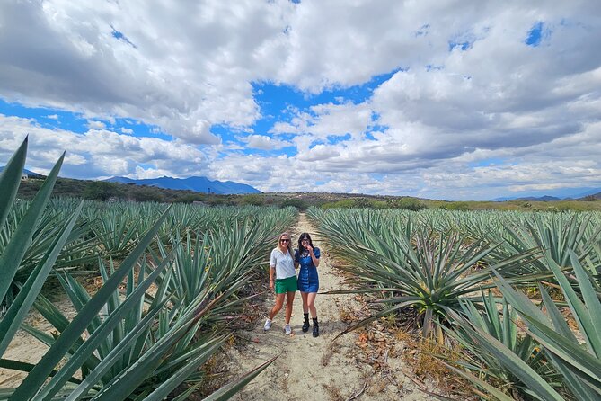 Danzantes Premium Mezcal, Hierve el Agua, Textiles & Lunch - Key points to know before booking