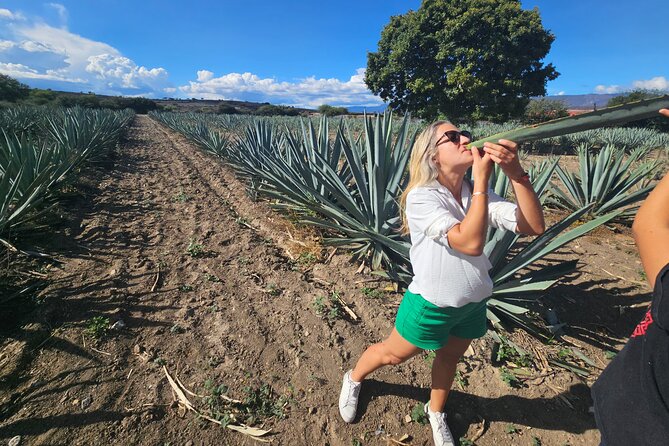 Danzantes Premium Mezcal, Hierve el Agua, Textiles & Lunch - Lunch beside the maguey fields