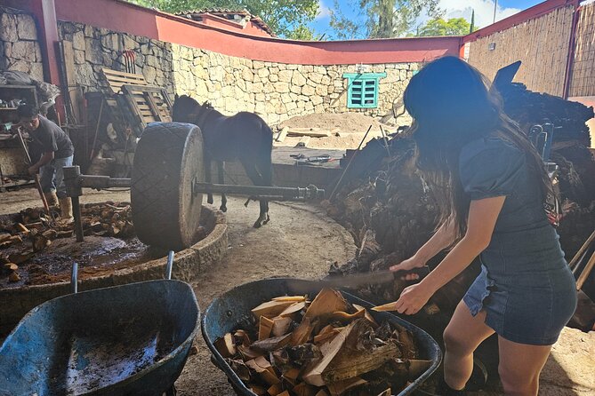 Danzantes Premium Mezcal, Hierve el Agua, Textiles & Lunch - Seeing Oaxaca textiles in Santiago Matatlán