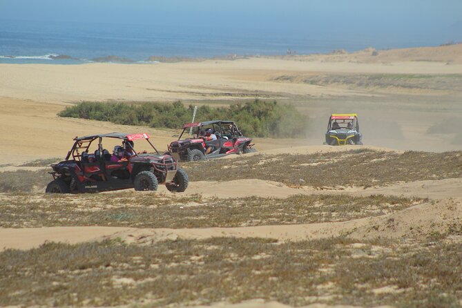 Desert and Beach UTV Adventure with Tequila Tasting - What the tequila tasting adds