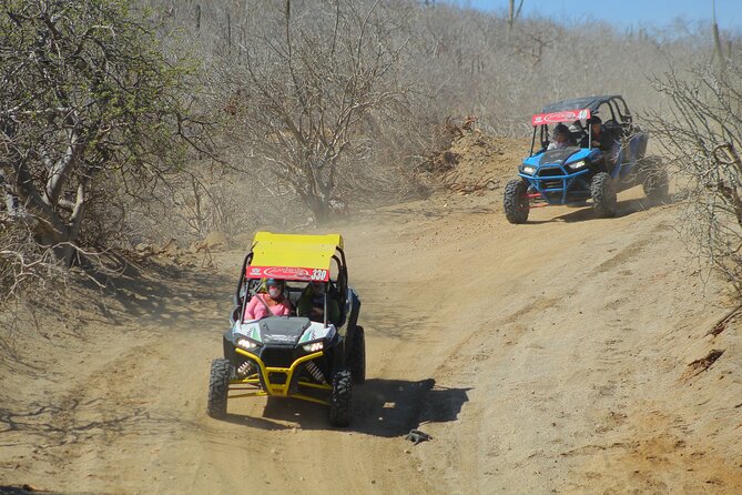 Desert and Beach UTV Adventure with Tequila Tasting - Who will enjoy this Cabo UTV ride?