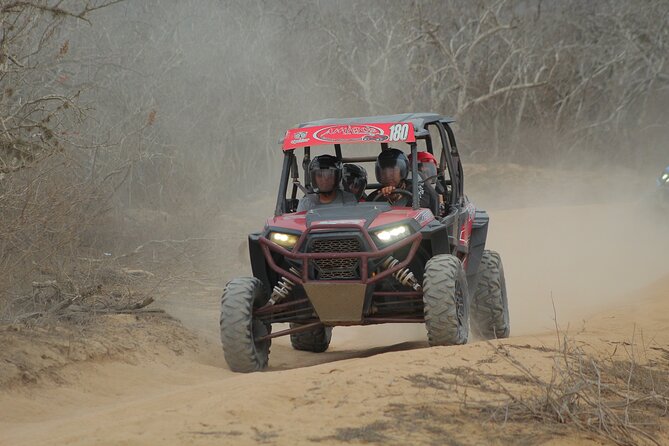 Desert and Beach UTV Adventure with Tequila Tasting - Timing, pickup, and cancellation details