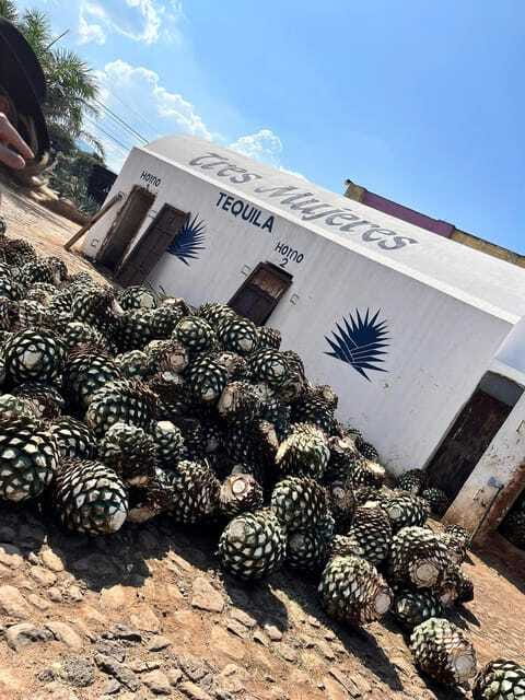 Destino Tequila: Experiencia Premier Privada - Two hours to find your own Tequila