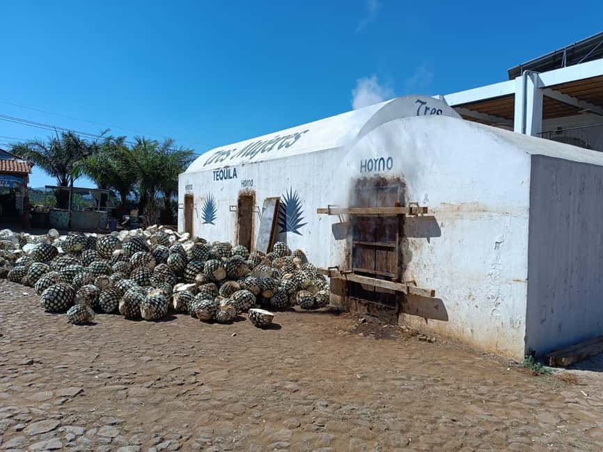 Destino Tequila: Experiencia Premier Privada - Tequila Selecto: seeing how agave becomes tequila