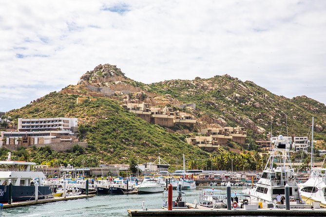 Dinner Cruise Tour in Cabo San Lucas with Tequila Tasting - Who Will Enjoy It Most