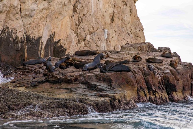 Dinner Cruise Tour in Cabo San Lucas with Tequila Tasting - Should You Book This Cabo Dinner Cruise?