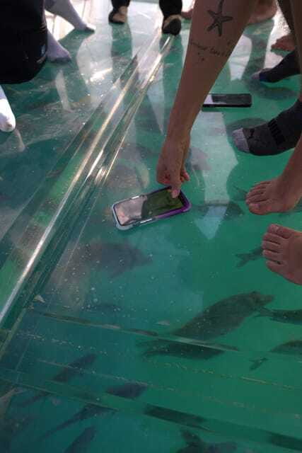 Discover Cabo San Lucas Clear Boat Glass Factory & Tequila - Shopping time and the question of pace