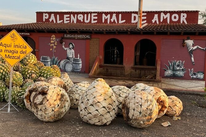 Distillery Tour and Agave Fields by Mal de Amor Mezcal - Key reasons to consider this mezcal day