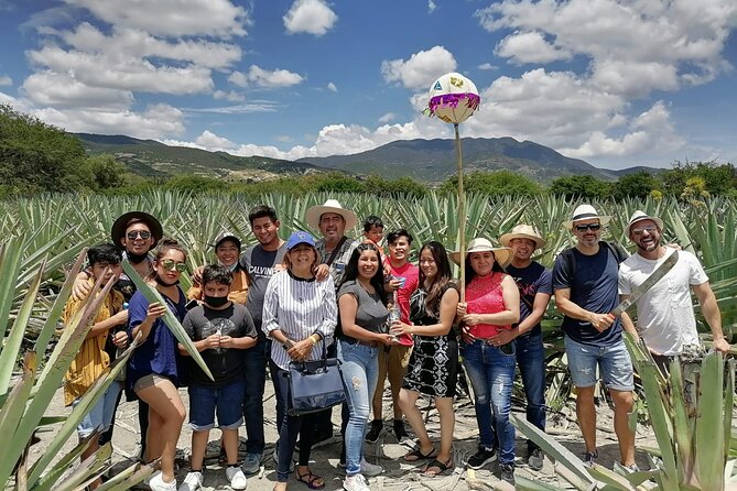 Distillery Tour and Agave Fields by Mal de Amor Mezcal - Why this tour gives you more than a standard tasting