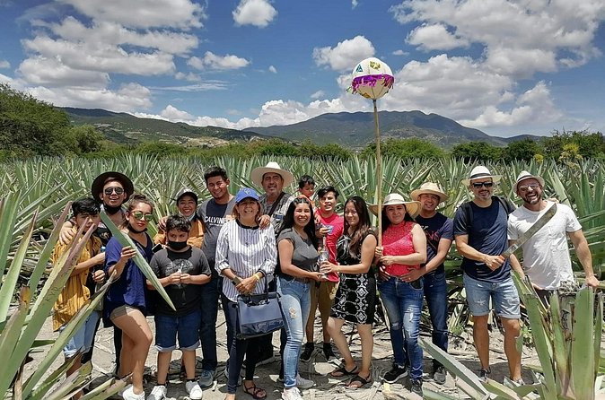 Distillery Tour and Agave Fields by Mal de Amor Mezcal - Guides and the personal side of the day