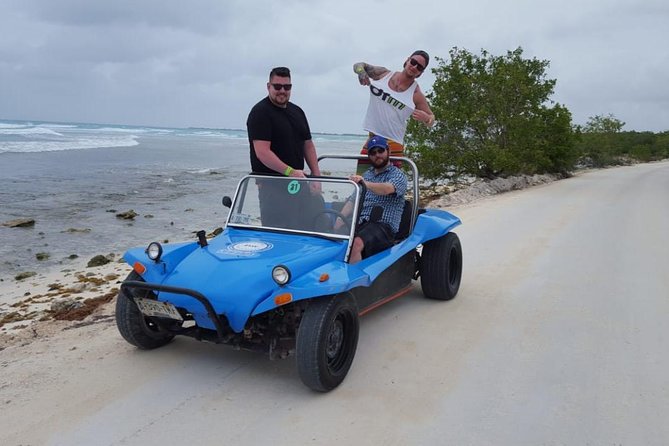 Dune Buggy Adventure, Snorkel, Mayan Town, East Coast, Tequila and City Tour - Key points at a glance