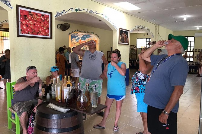 Dune Buggy Adventure, Snorkel, Mayan Town, East Coast, Tequila and City Tour - Lunch is tasty but not flexible