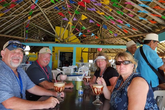 Dune Buggy Adventure, Snorkel, Mayan Town, East Coast, Tequila and City Tour - Who should book this Cozumel outing?