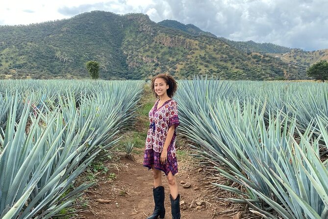 Enjoy a full day on the Tequila and Amatitan route - Complejo Paraíso Azul and the glass viewpoint