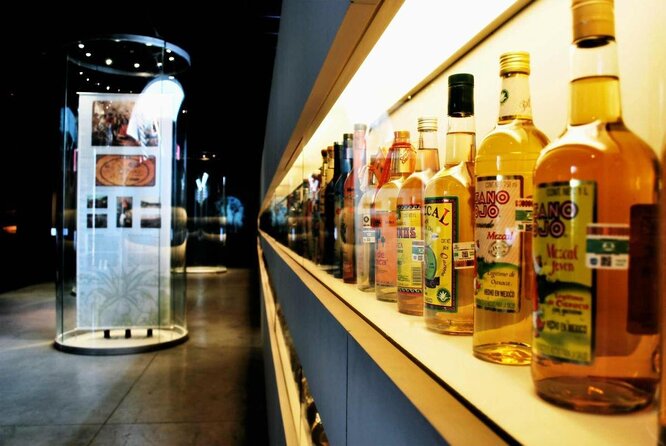 EXCLUSIVE TOUR Tequila & Mezcal - small groups - What the 90-minute visit really offers