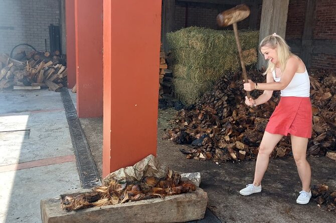 Experience the Mezcal Tour in Oaxaca - A tasting built for comparison