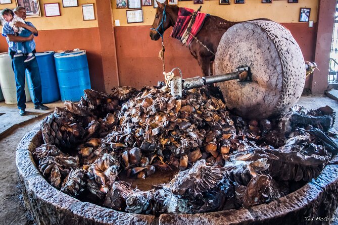 Experience the Mezcal Tour in Oaxaca - What makes the guides important